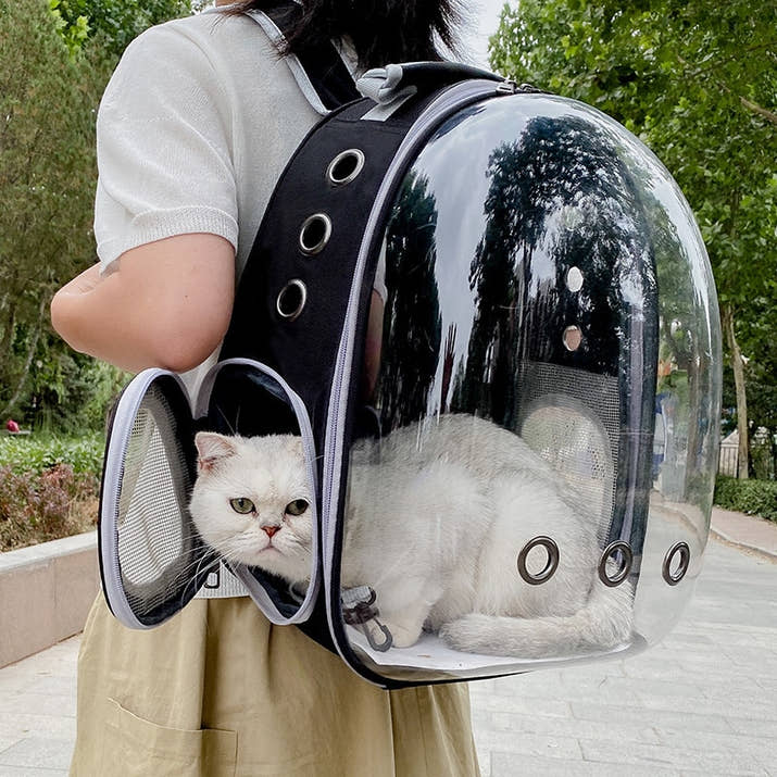 CATPACK - Väska att visa katten världen