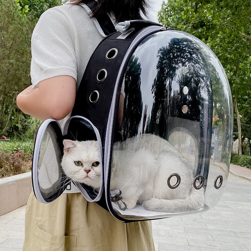 CATPACK - Väska att visa katten världen
